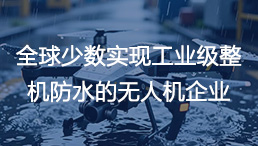 方寸達派瑞林